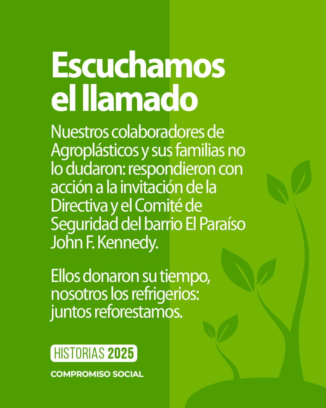 ¡Reforestamos juntos!