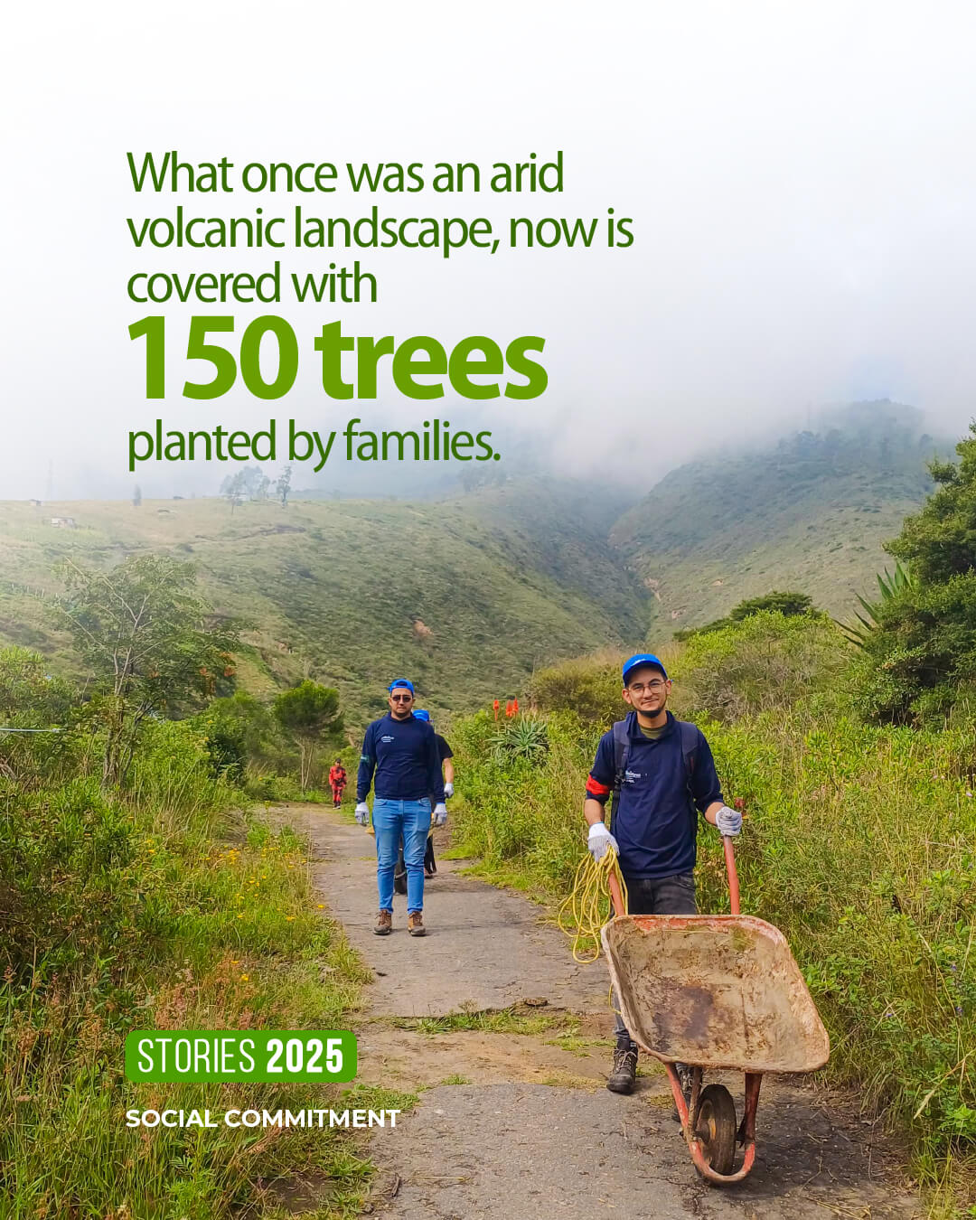 Let’s plant trees together! - 1