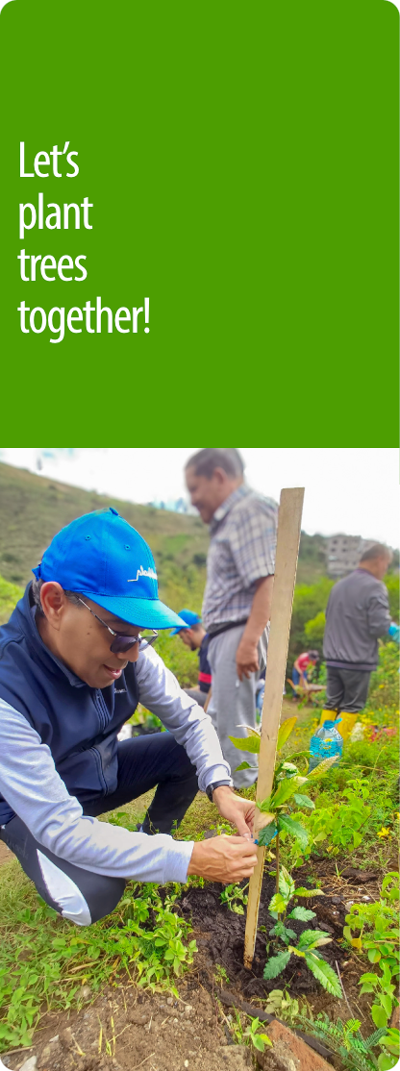 Let’s plant trees together! - Movil