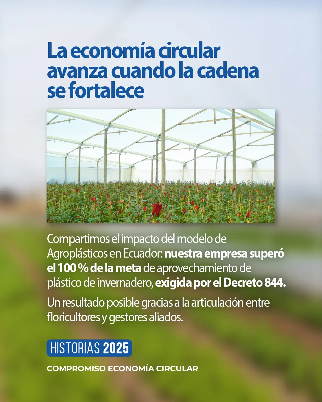 Innovación para un futuro sostenible -