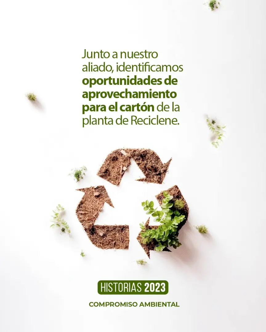 Alianza estratégica de Reciclene con Plásticos y Maderas Reciclables