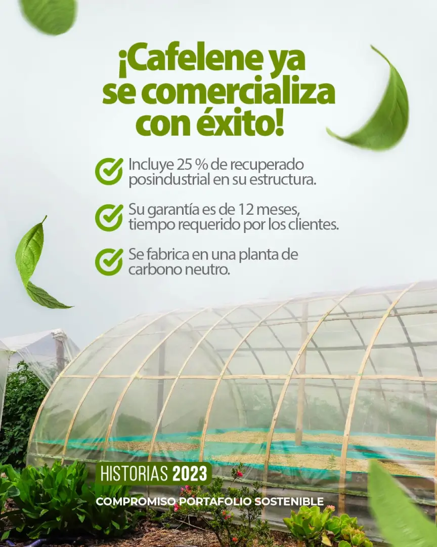 Cafelene en las marquesinas de los secaderos de café del sector agrícola