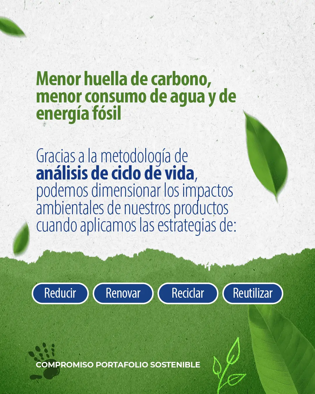 Ecodiseño de empaques de Grupo Plastilene para reducir el impacto ambiental