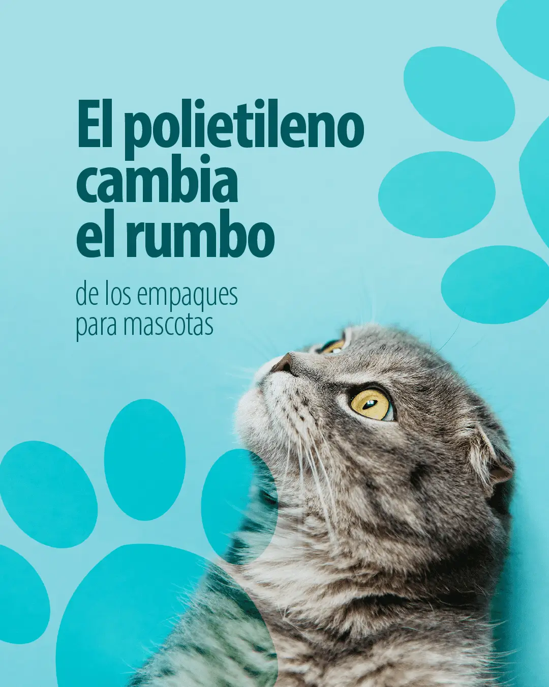 Empaques para mascotas en polietileno de Grupo Plastilene
