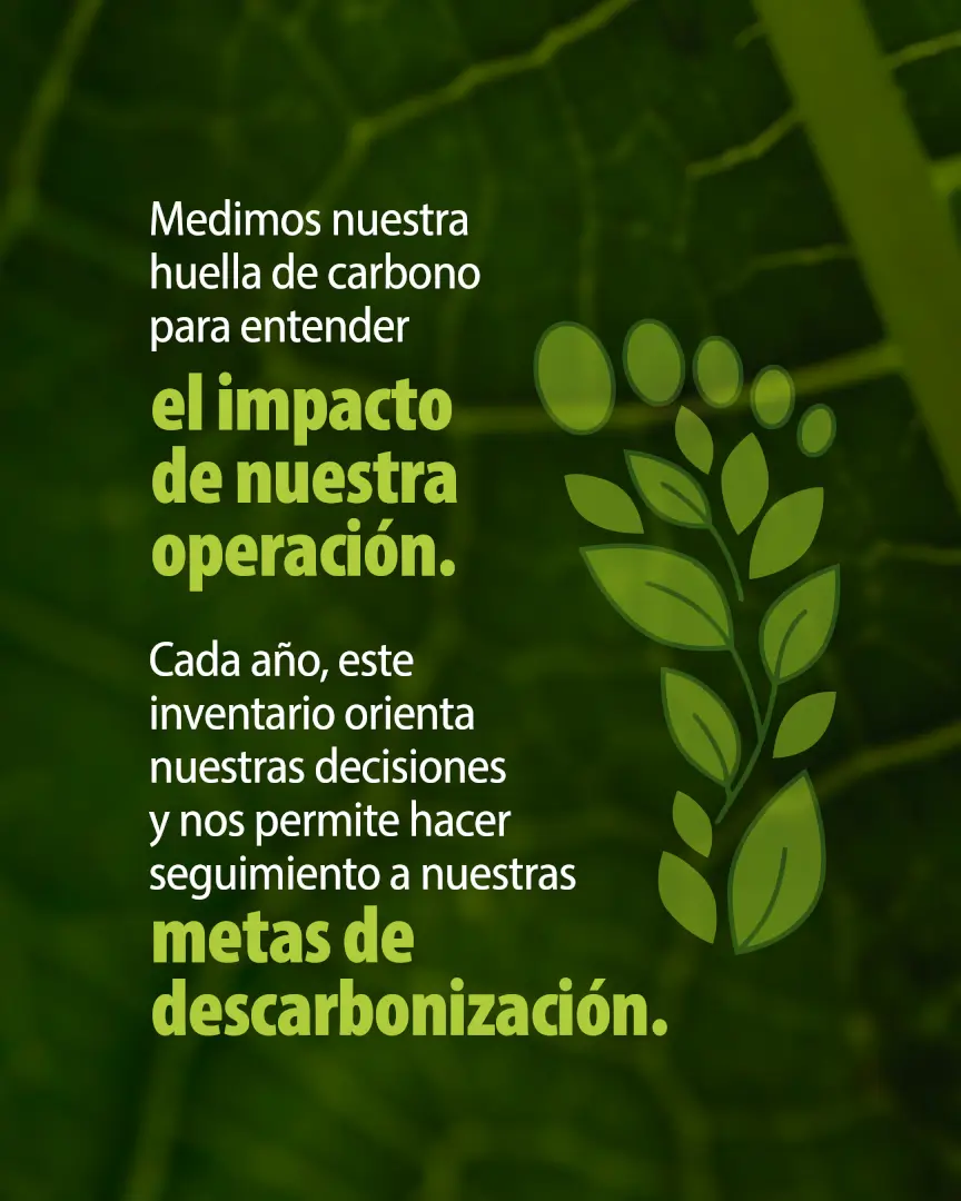 Medimos nuestra huella de carbono para orientar decisiones y dar seguimiento a las metas de descarbonización de Grupo Plastilene