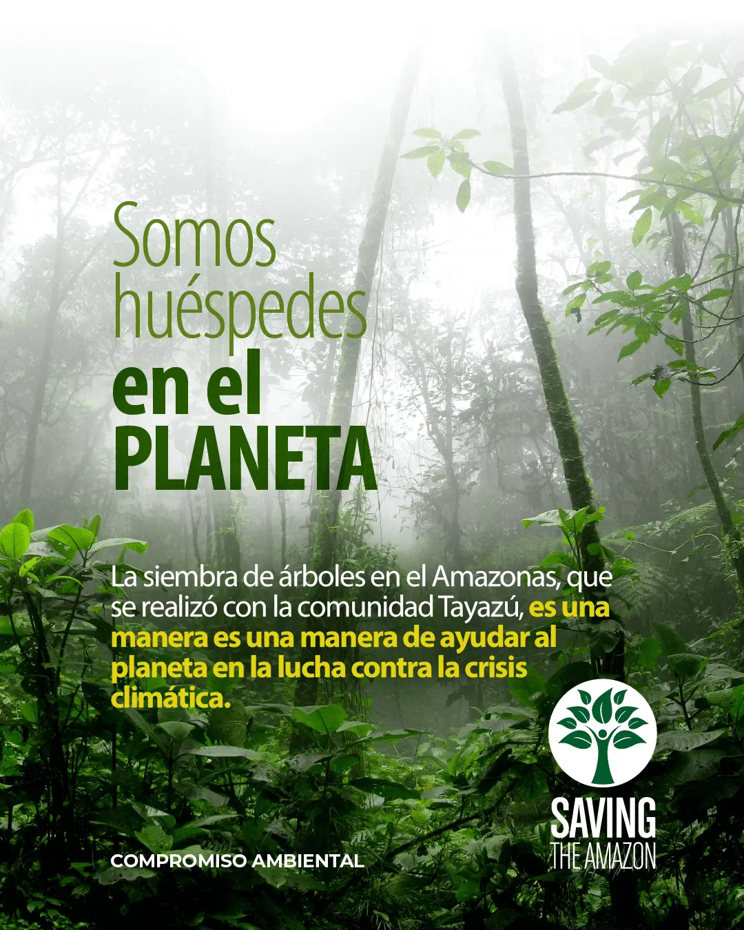 Reforestación como responsabilidad compartida de Grupo Plastilene