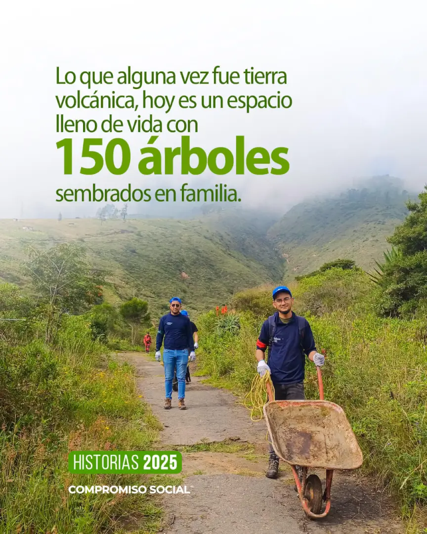 Reforestación comunitaria de Grupo Plastilene junto a la comunidad en Ecuador