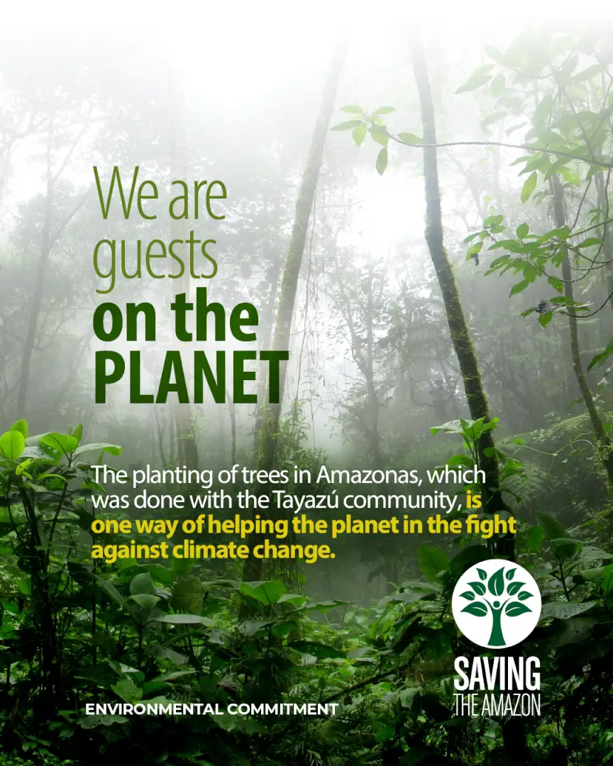 Reforestation as a shared responsibility of Plastilene Group