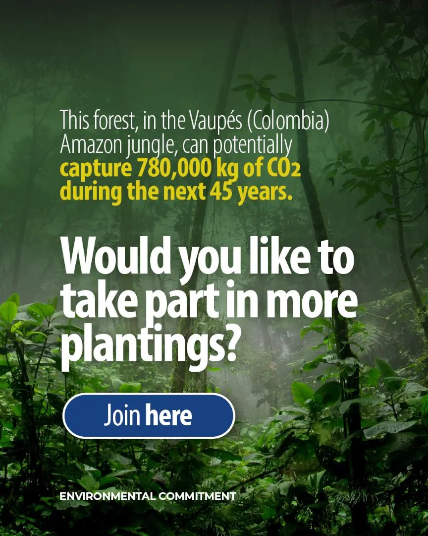 Reforestation as a shared responsibility of Plastilene Group