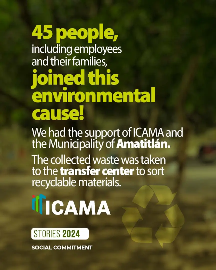 Removing waste from the beach during the cleanup day