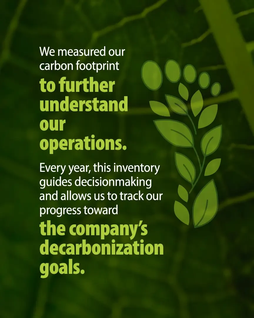 We measured our carbon footprint to guide decision-making and track progress toward Plastilene Group's decarbonization goals